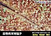 蒜香肉末烤茄子的做法