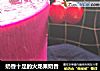 奶香十足的火龙果奶昔的做法