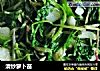 清炒萝卜苗的做法
