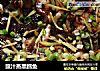 豉汁蒸黑鳕鱼的做法