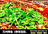 万州烤鱼（香辣豆豉味）的做法