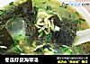 冬瓜虾皮海带汤的做法