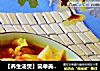 【养生汤煲】简单美容汤---番茄甘蓝汤的做法
