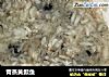 青蒸黄颡鱼的做法