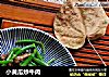 小黄瓜炒牛肉的做法