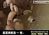 夏至消暑汤 一 冬瓜排骨汤的做法