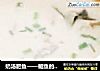 奶汤肥鱼——鮰鱼的做法的做法