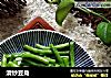 清炒豆角的做法