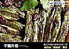 干煸升级----------豆酱四季豆的做法