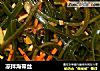 凉拌海带丝的做法