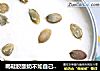 喝鞋胶酸奶不如自己在家做，消家里灭剩余奶粉(奶粉版)的做法