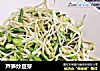 芦笋炒豆芽的做法
