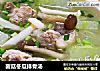 菌菇冬瓜排骨汤的做法