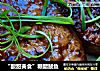 “酸甜美食”糖醋鲅鱼的做法