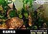 冬瓜排骨汤的做法