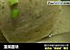 菠菜面块的做法