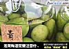 泡青梅酒需要注意什么？的做法