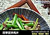 四季豆炒肉片的做法