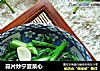 蒜片炒宁夏菜心的做法