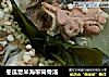 冬瓜薏米海带筒骨汤的做法