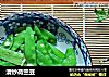 清炒荷兰豆的做法