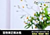 百香果芒果冰棍的做法