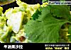 牛油果沙拉的做法