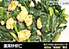 韭菜炒虾仁的做法