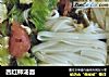 西红柿汤面的做法