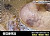 香菇番鸭汤的做法