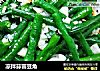凉拌蒜蓉豆角的做法
