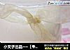 小文子出品~~【牛奶豆腐】的做法
