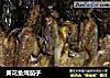 黄花鱼炖茄子的做法