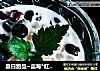 夏日甜品~蓝莓*红豆*西米露的做法