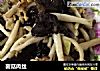 菌菇肉丝的做法