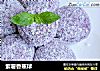 紫薯香蕉球的做法