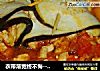 衣带渐宽终不悔---蒸茄子鸡肉西红柿卷的做法