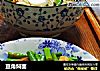 豆角焖面的做法