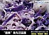 “面条”鱼丸甘蓝面的做法