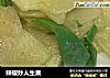 辣椒炒人生果的做法