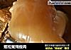 姬松茸炖瘦肉的做法