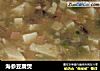 海参豆腐煲的做法