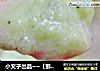 小文子出品~~【猕猴桃汁】的做法