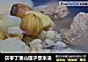 茯苓丁淮山莲子薏米汤的做法