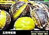 五香烤板栗的做法