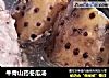牛骨山药冬瓜汤的做法