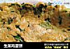 生菜鸡蛋饼的做法