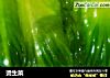 烫生菜的做法
