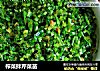 榨菜拌芹菜苗的做法