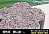 零失败，懒人版---红豆沙的做法